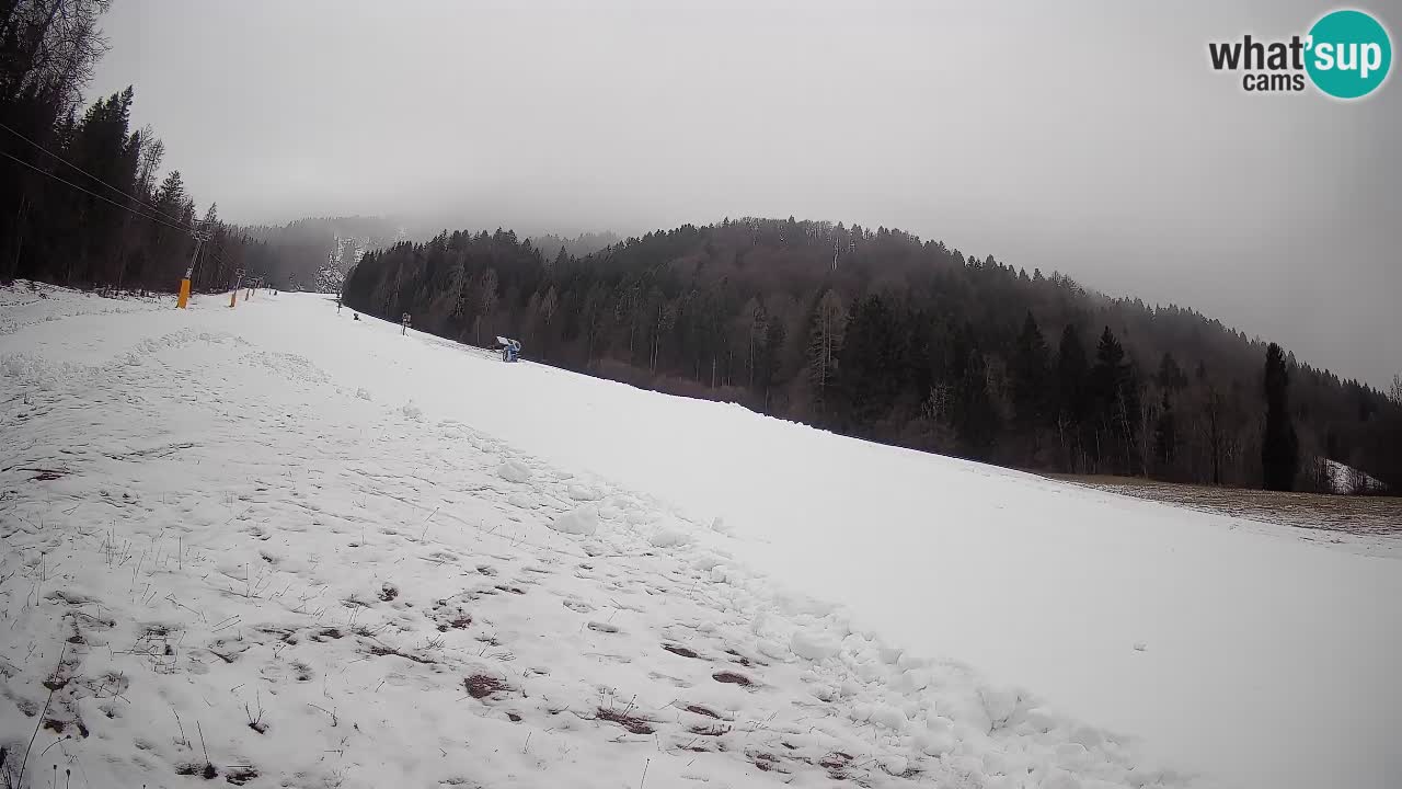 Comprensorio sciistico Kranjska Gora | Brsnina