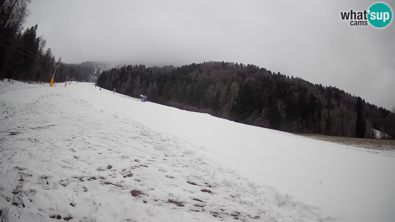 RTC Skigebiet Kranjska Gora | Brsnina