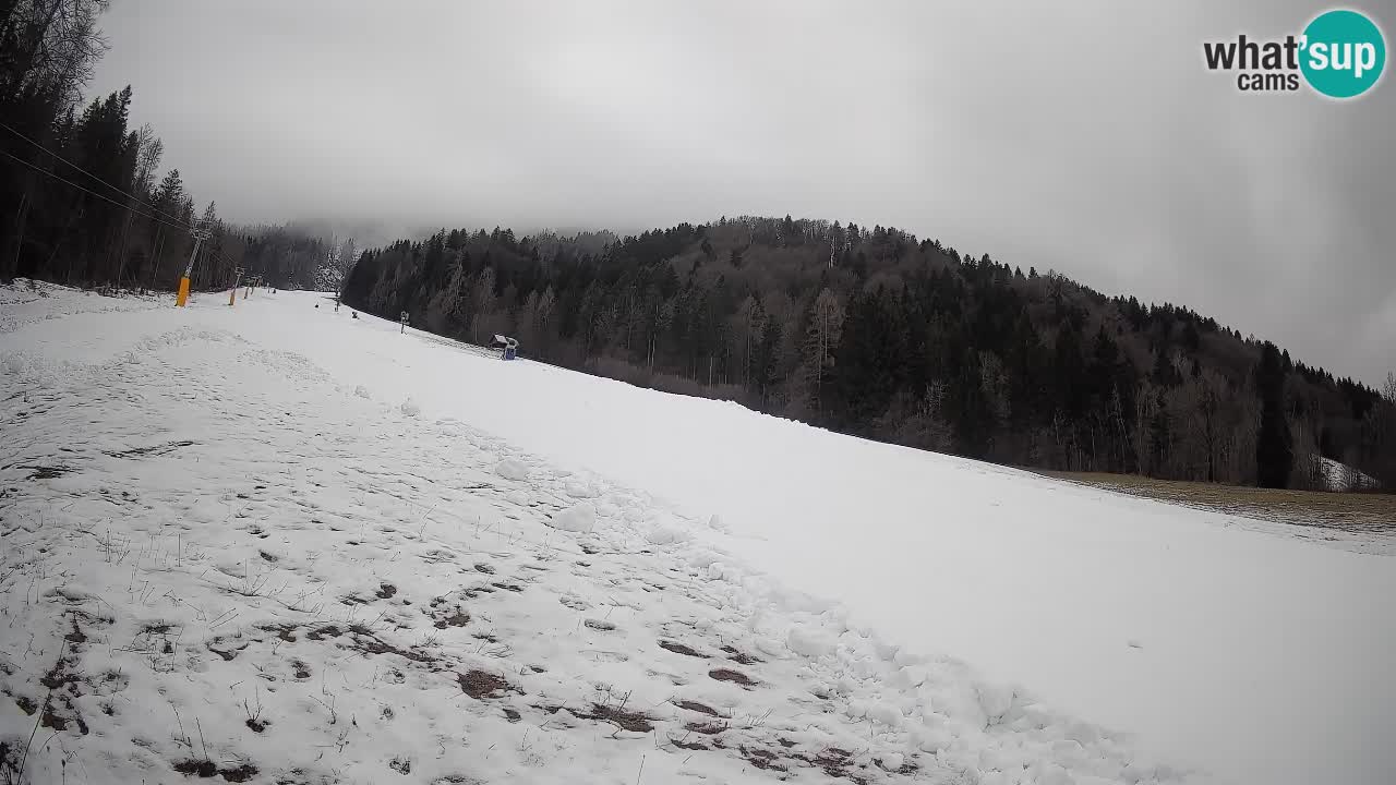 RTC Kranjska Gora | Brsnina