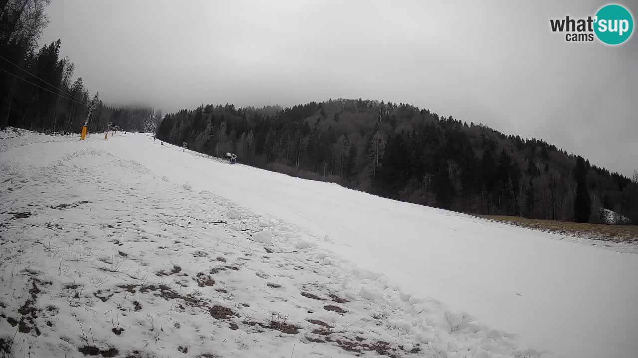 Comprensorio sciistico Kranjska Gora | Brsnina