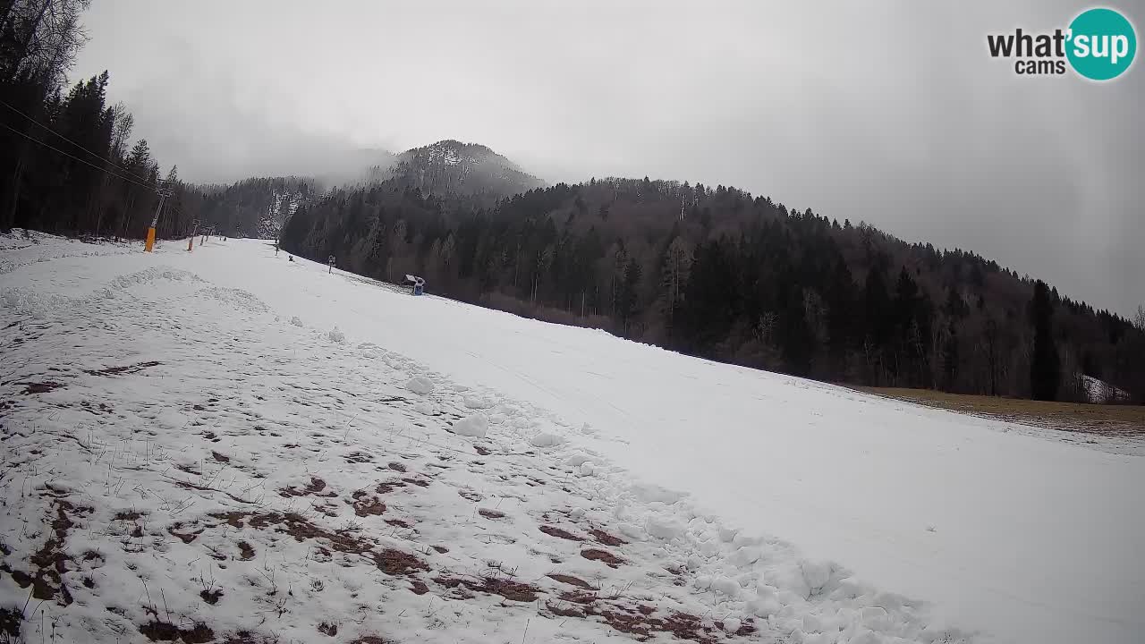 Ski Kranjska Gora | Brsnina
