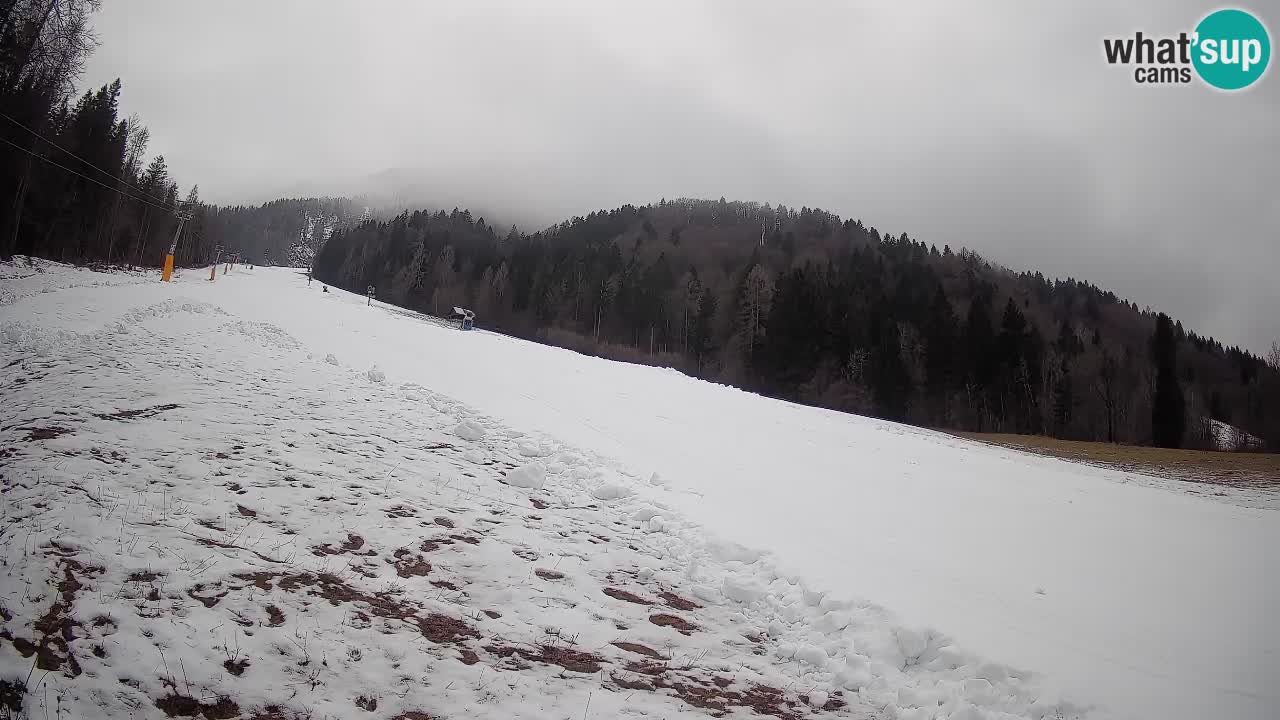 Kranjska Gora SKIJANJE | Brsnina