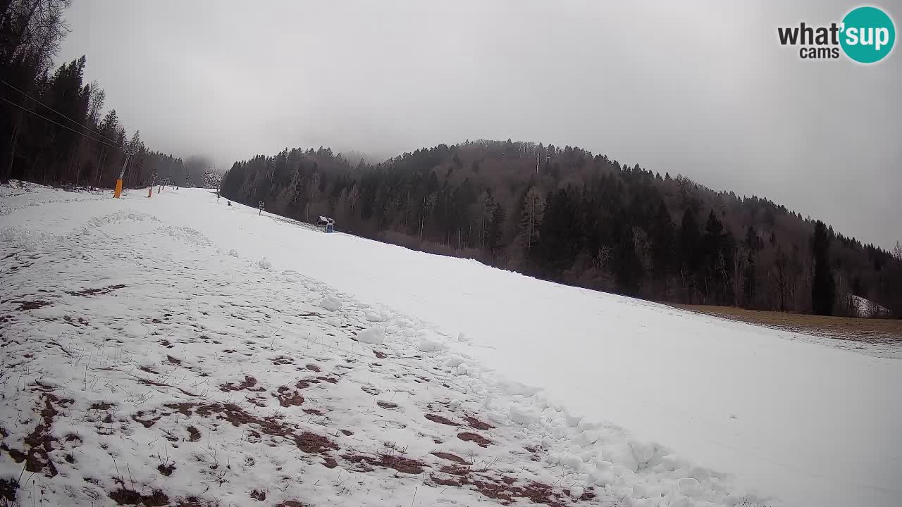 Ski Kranjska Gora | Brsnina