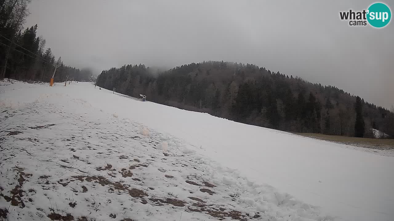 RTC Kranjska Gora | Brsnina