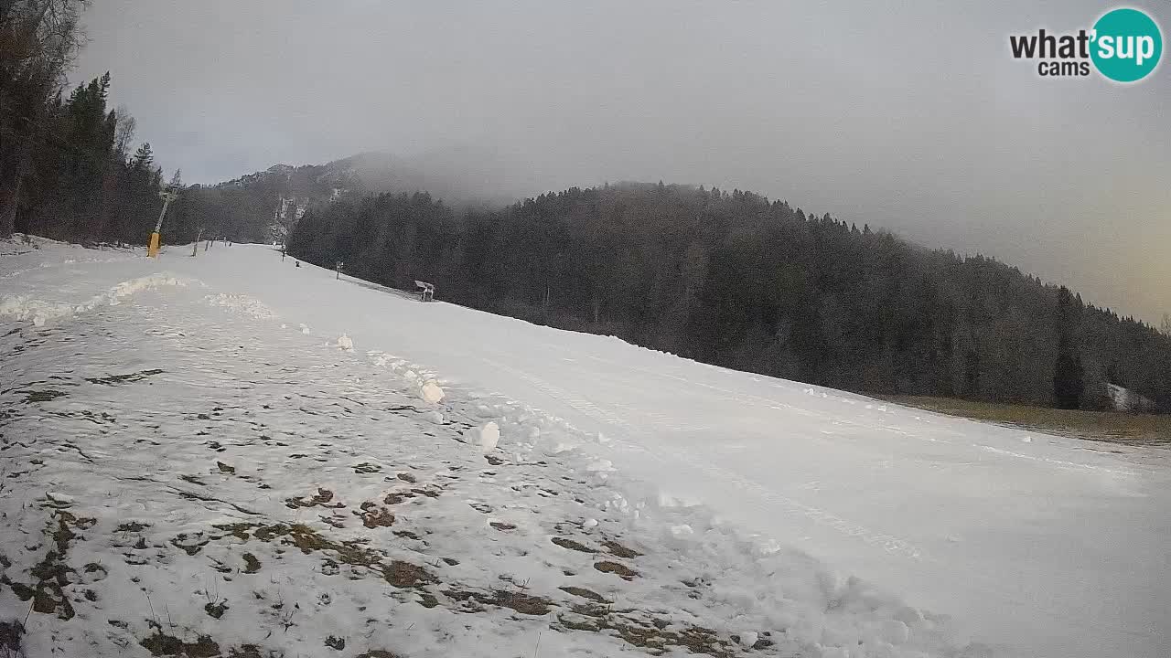 Comprensorio sciistico Kranjska Gora | Brsnina