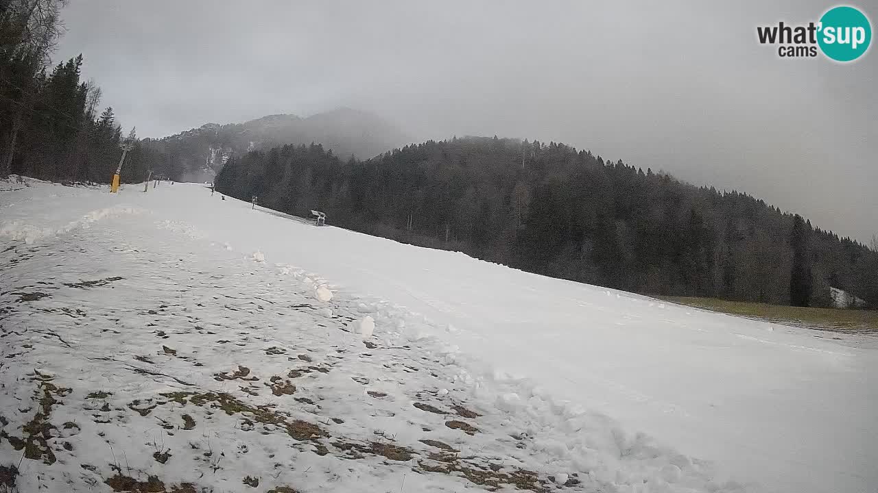 Comprensorio sciistico Kranjska Gora | Brsnina