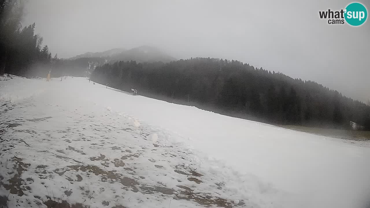 Ski Kranjska Gora | Brsnina