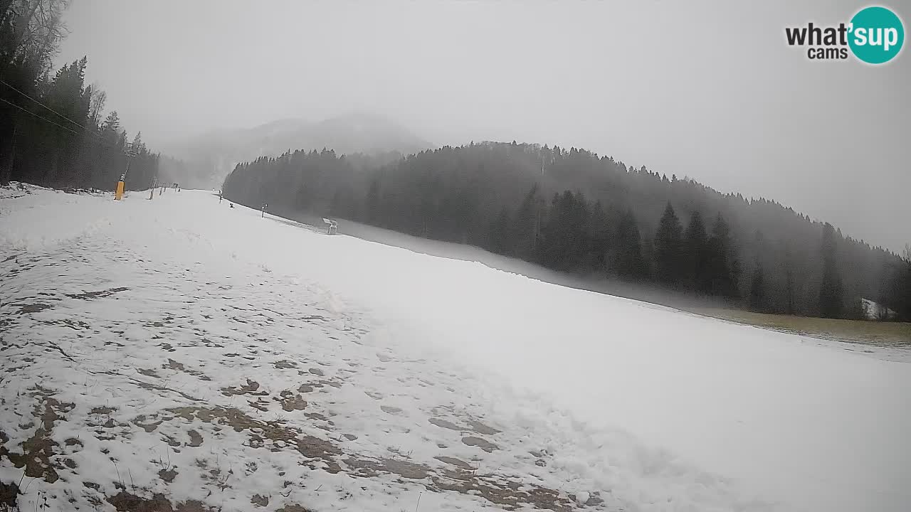 RTC Skigebiet Kranjska Gora | Brsnina