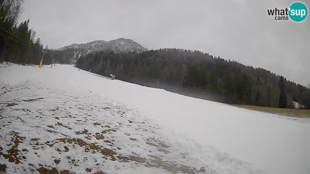 Kranjska Gora SKIJANJE | Brsnina