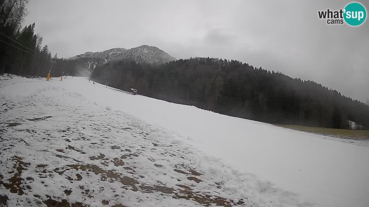 Ski Kranjska Gora | Brsnina