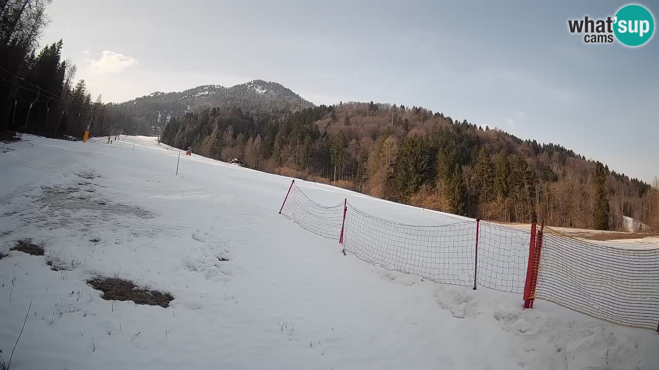 RTC Kranjska Gora | Brsnina