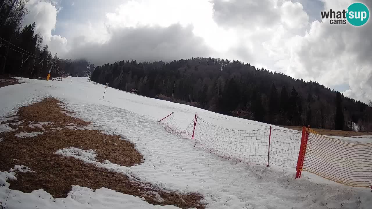 Ski Kranjska Gora | Brsnina