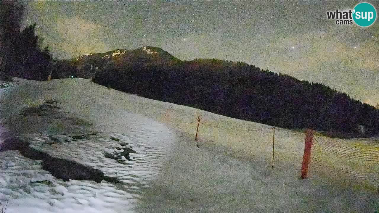 Ski Kranjska Gora | Brsnina