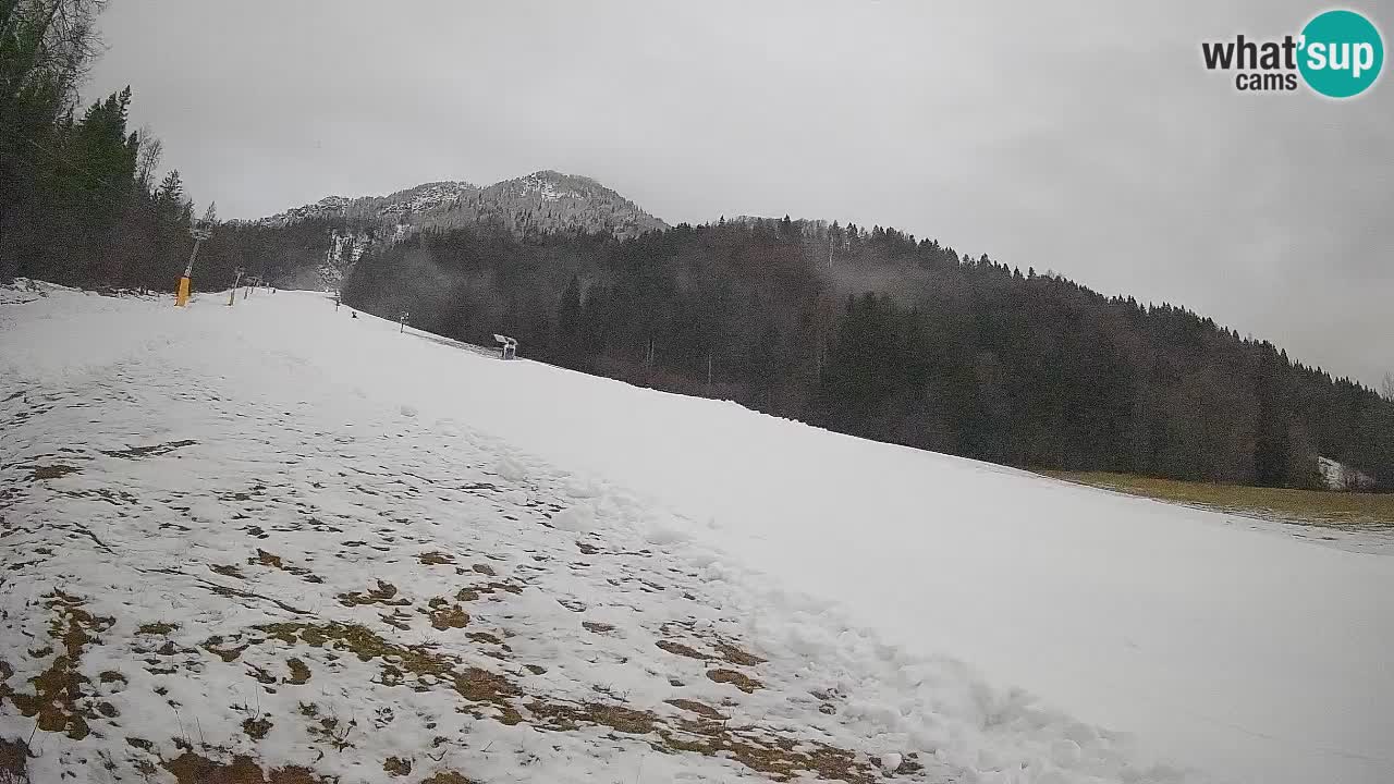 Ski Kranjska Gora | Brsnina