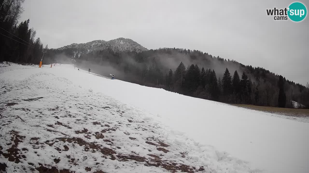 RTC Kranjska Gora | Brsnina