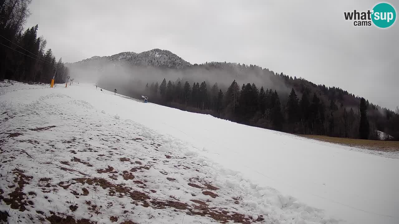 RTC Kranjska Gora | Brsnina