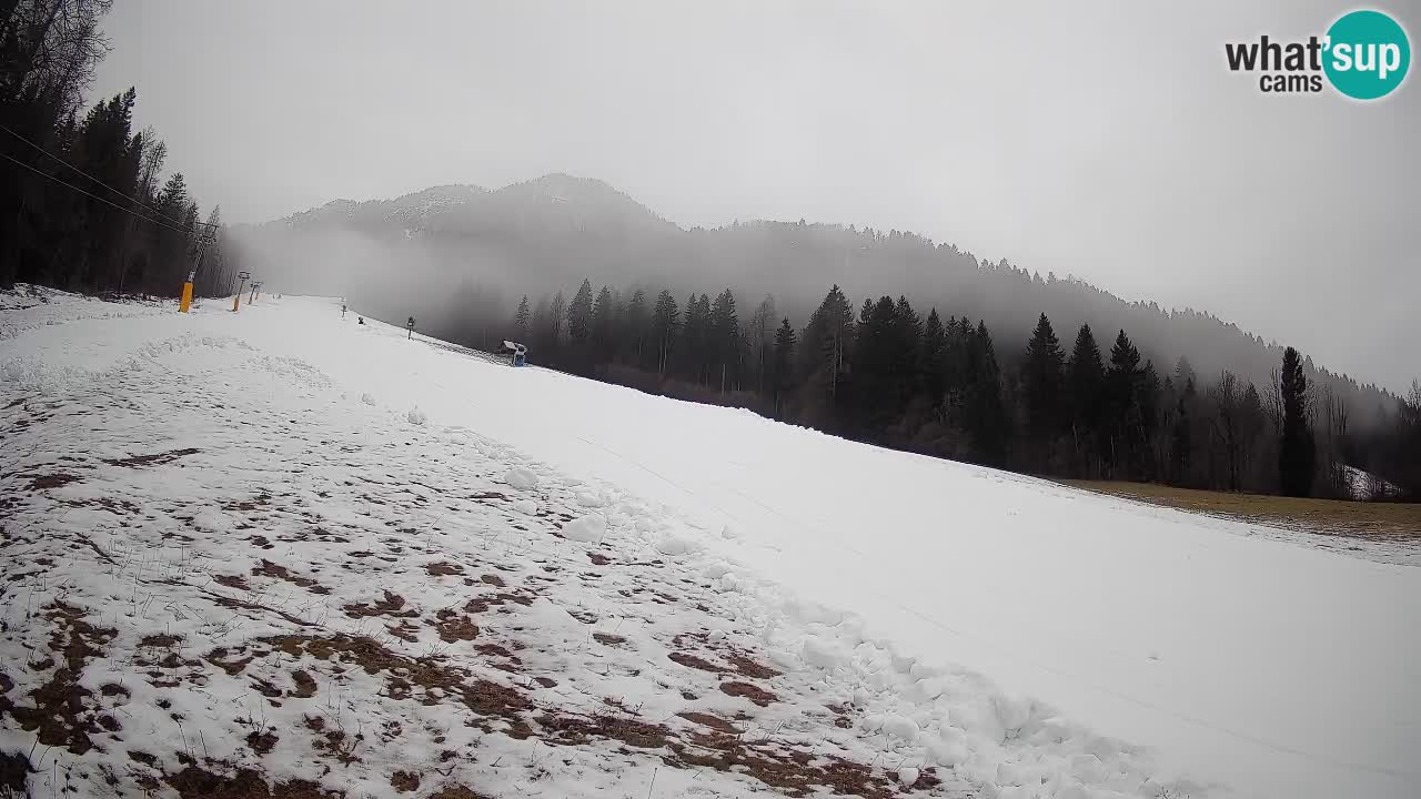 Comprensorio sciistico Kranjska Gora | Brsnina