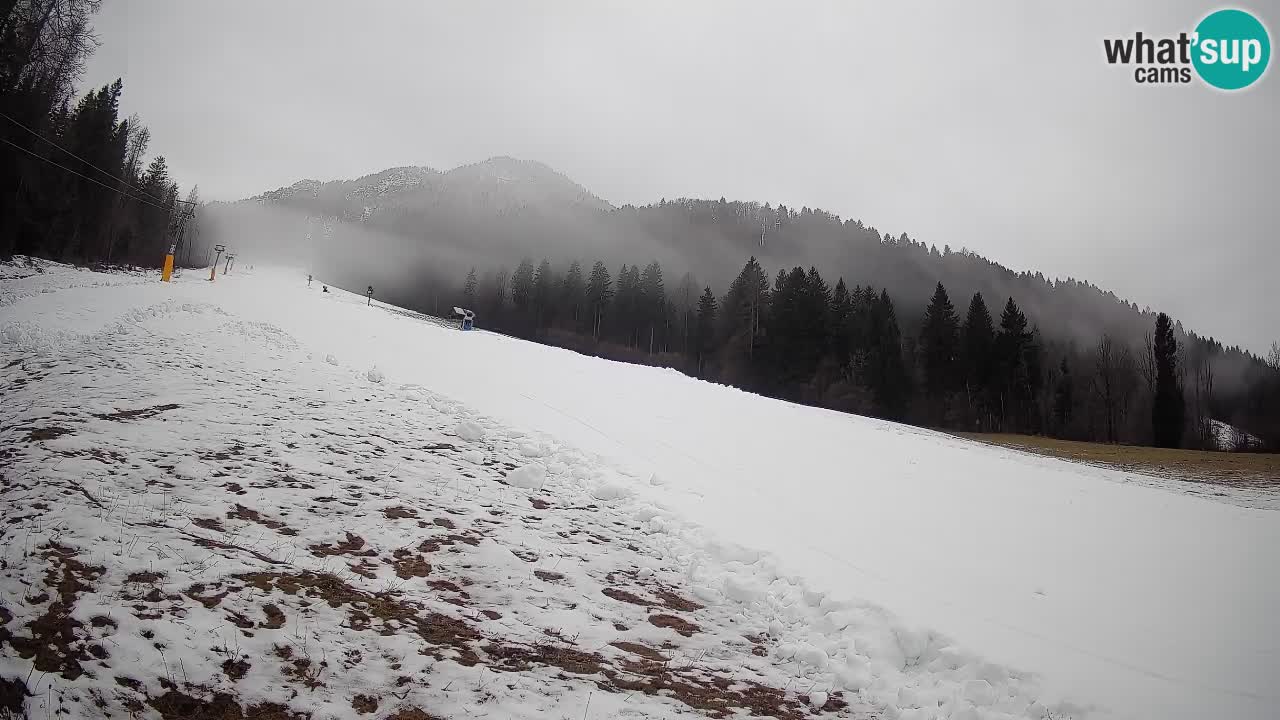 Ski Kranjska Gora | Brsnina