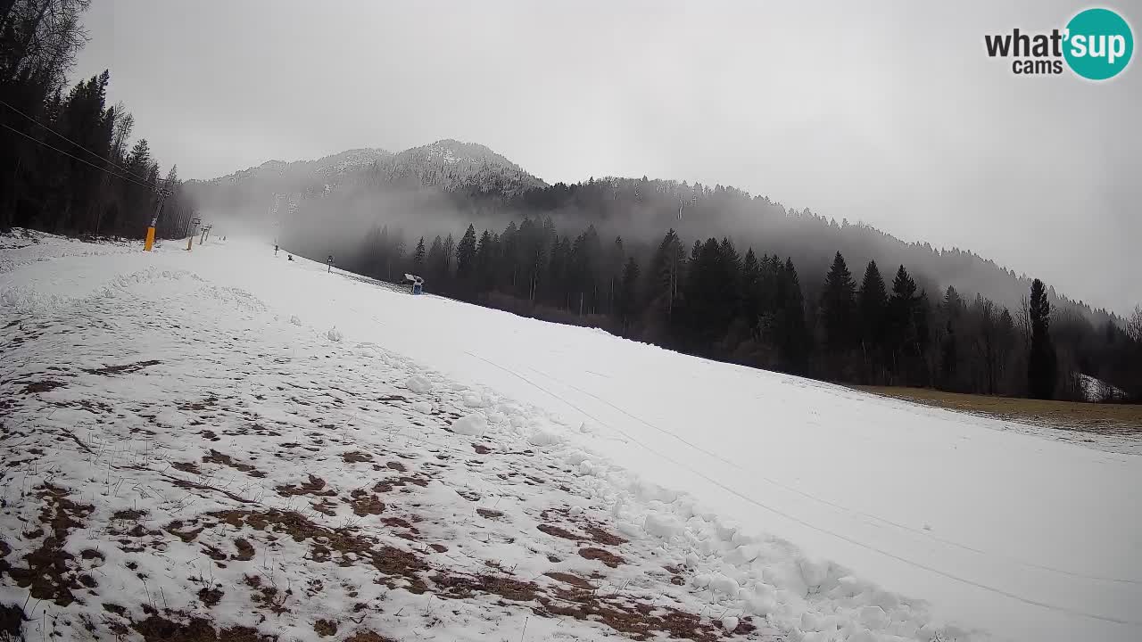 RTC Skigebiet Kranjska Gora | Brsnina