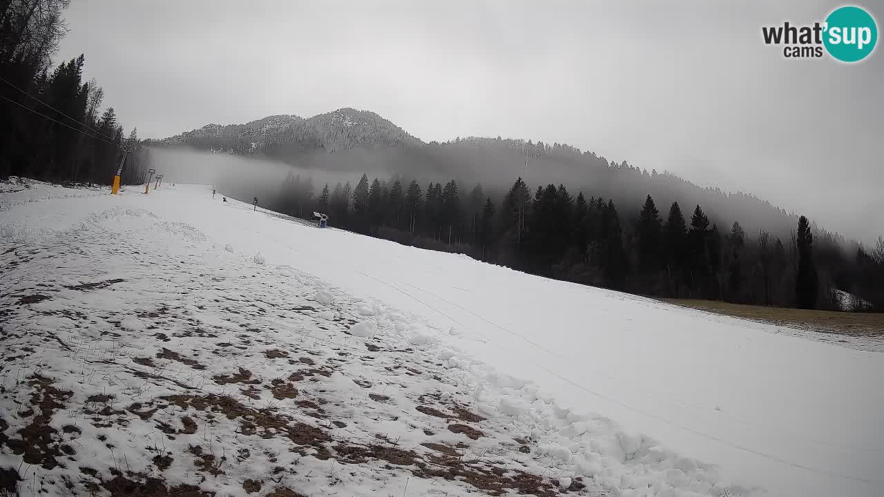 Ski Kranjska Gora | Brsnina