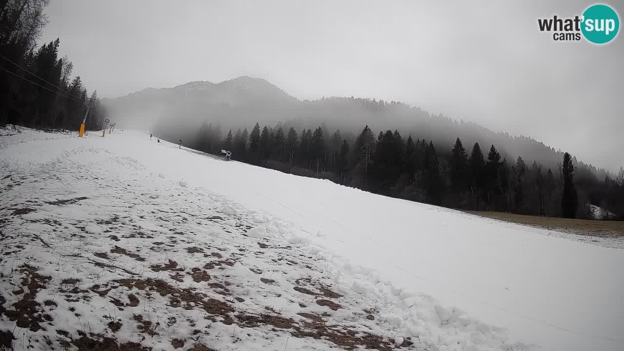 Comprensorio sciistico Kranjska Gora | Brsnina