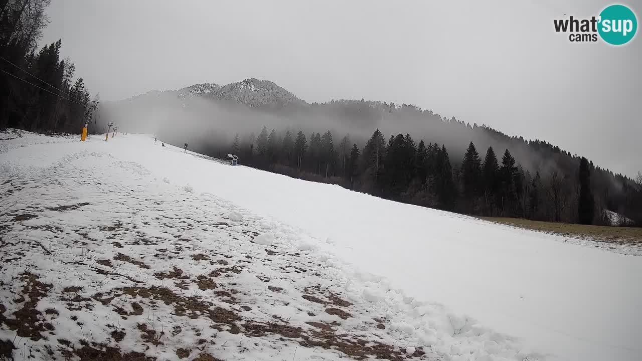 RTC Skigebiet Kranjska Gora | Brsnina