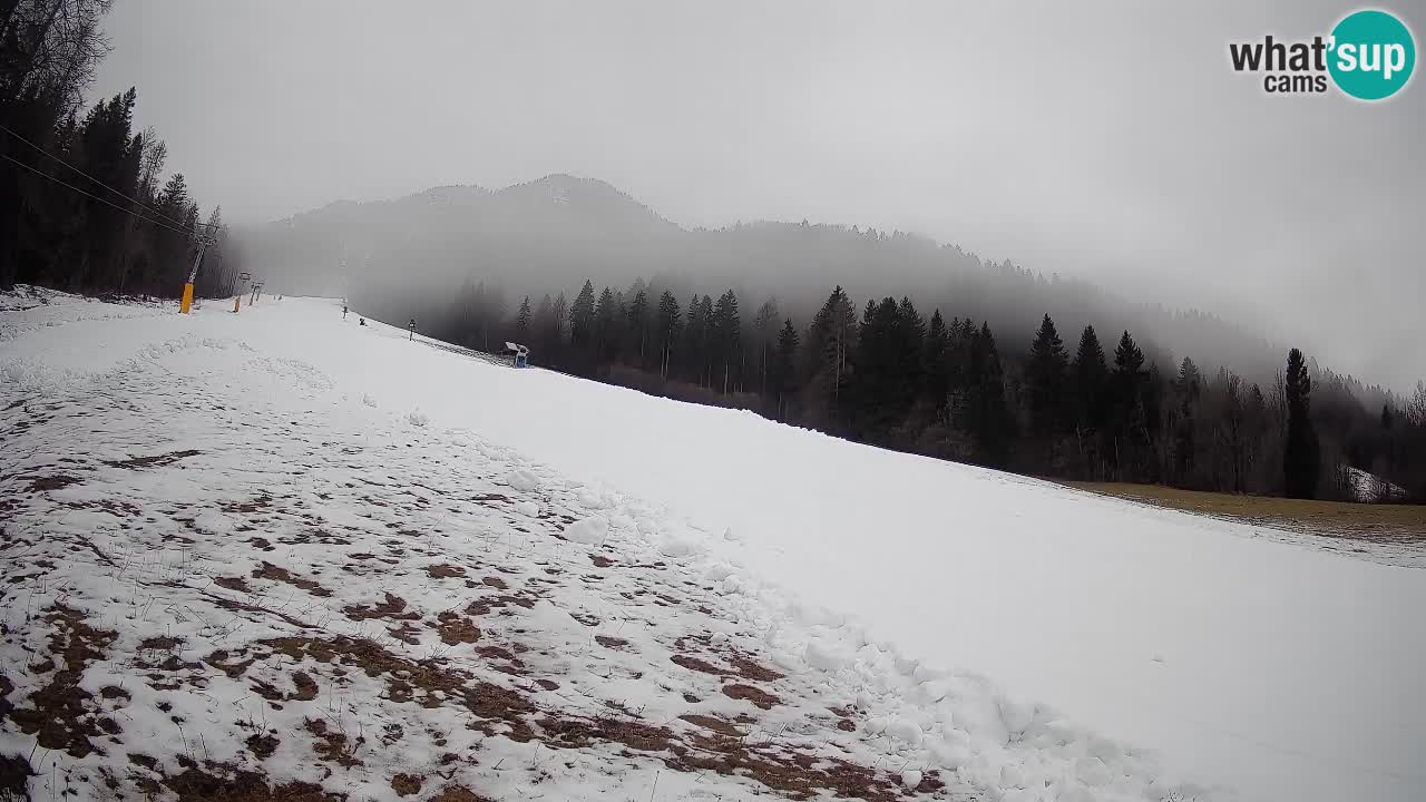 RTC Skigebiet Kranjska Gora | Brsnina