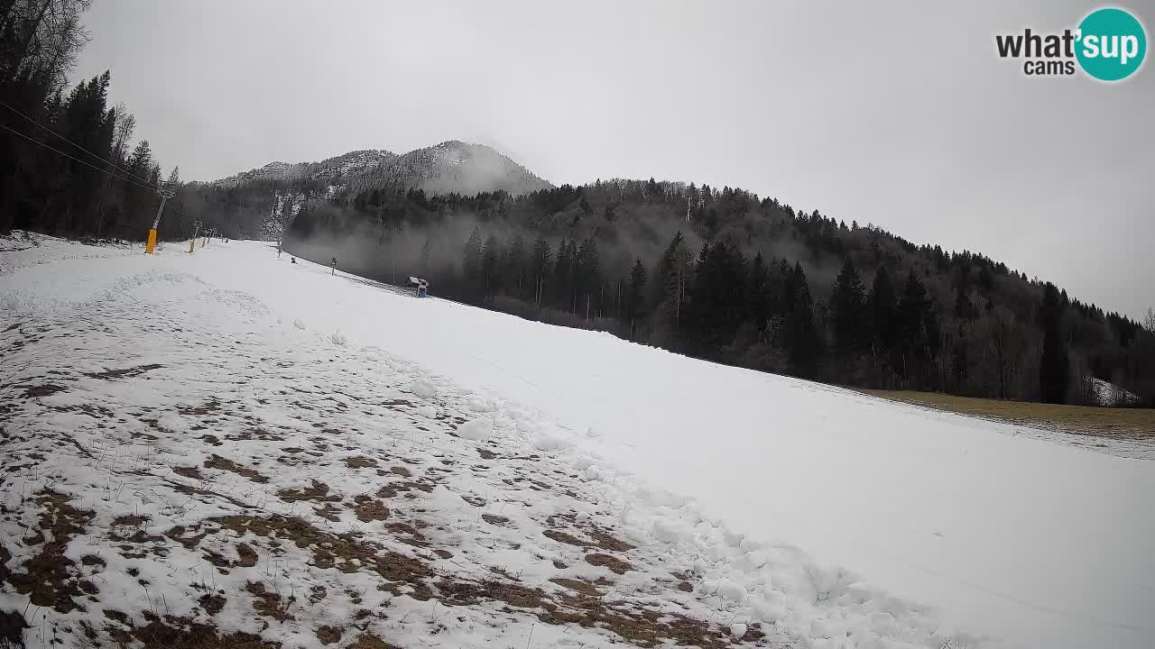 Ski Kranjska Gora | Brsnina