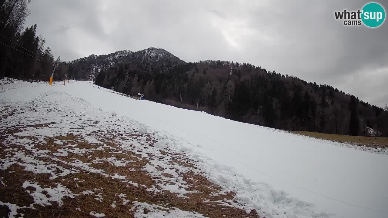 Ski Kranjska Gora | Brsnina