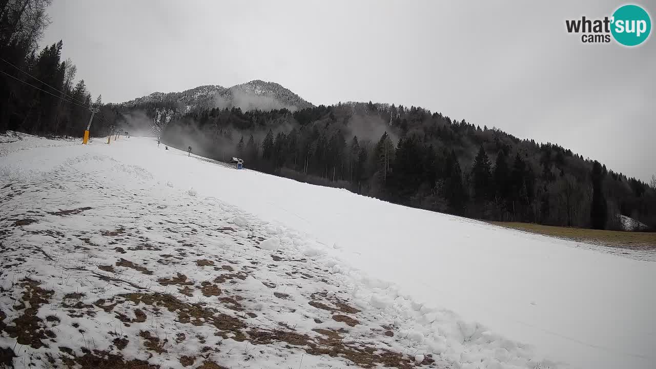 RTC Kranjska Gora | Brsnina