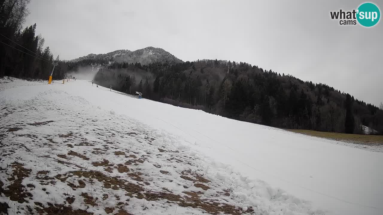 Kranjska Gora SKIJANJE | Brsnina