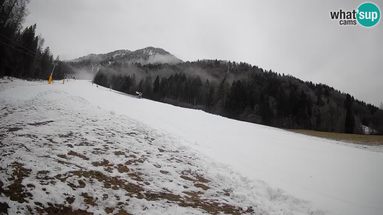 RTC Skigebiet Kranjska Gora | Brsnina