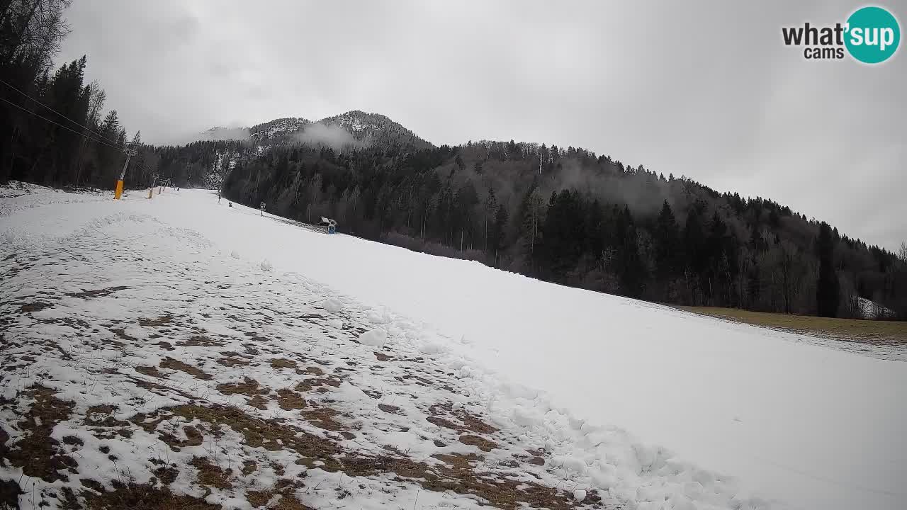 RTC Skigebiet Kranjska Gora | Brsnina