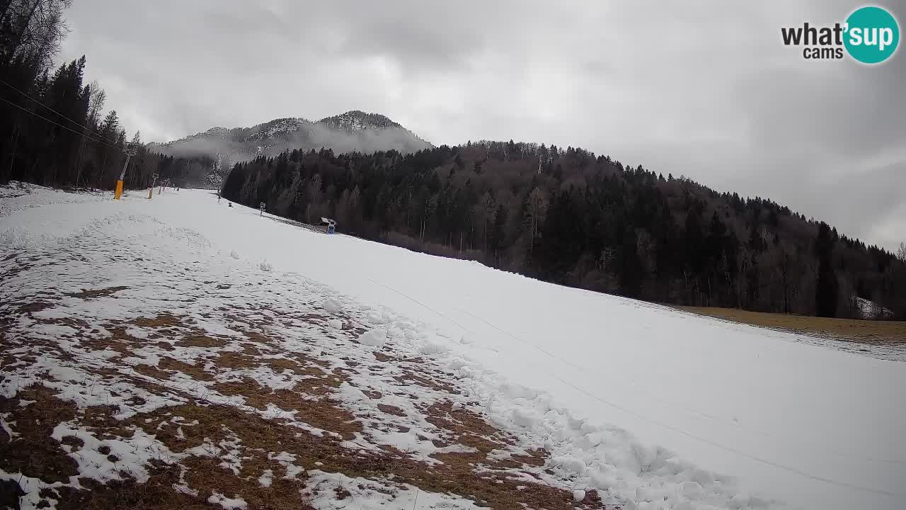 Comprensorio sciistico Kranjska Gora | Brsnina