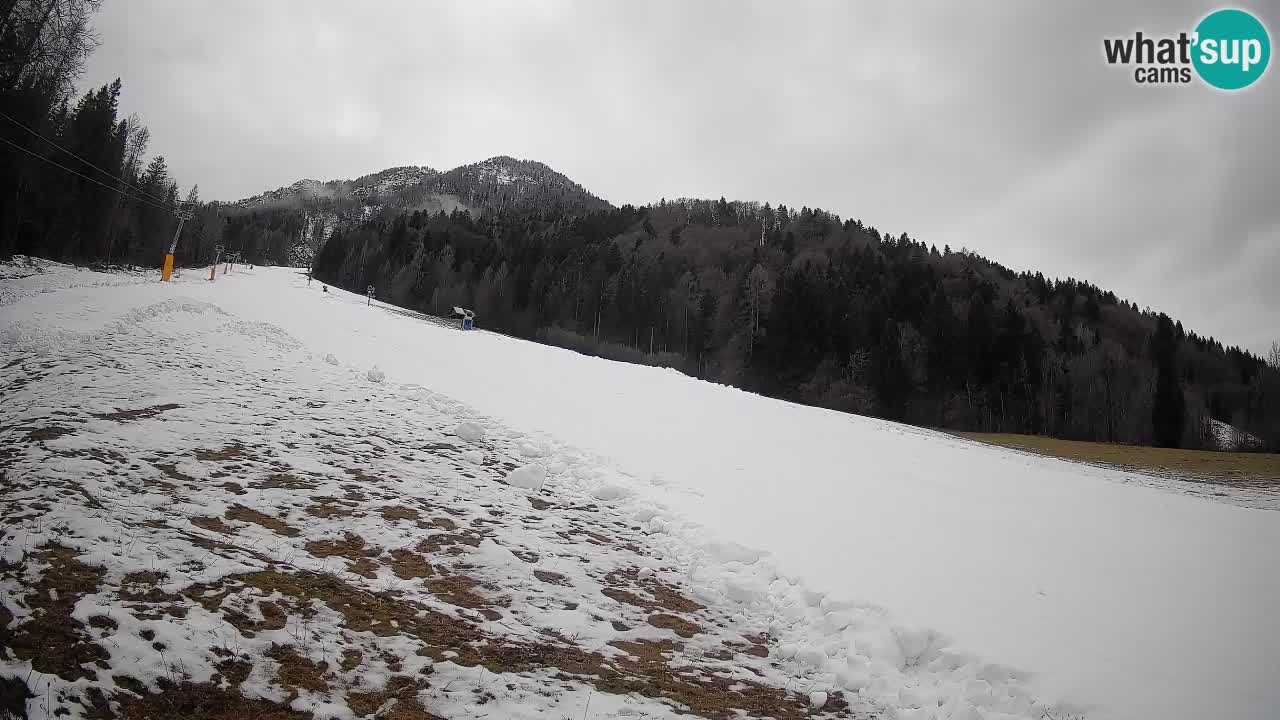 RTC Skigebiet Kranjska Gora | Brsnina