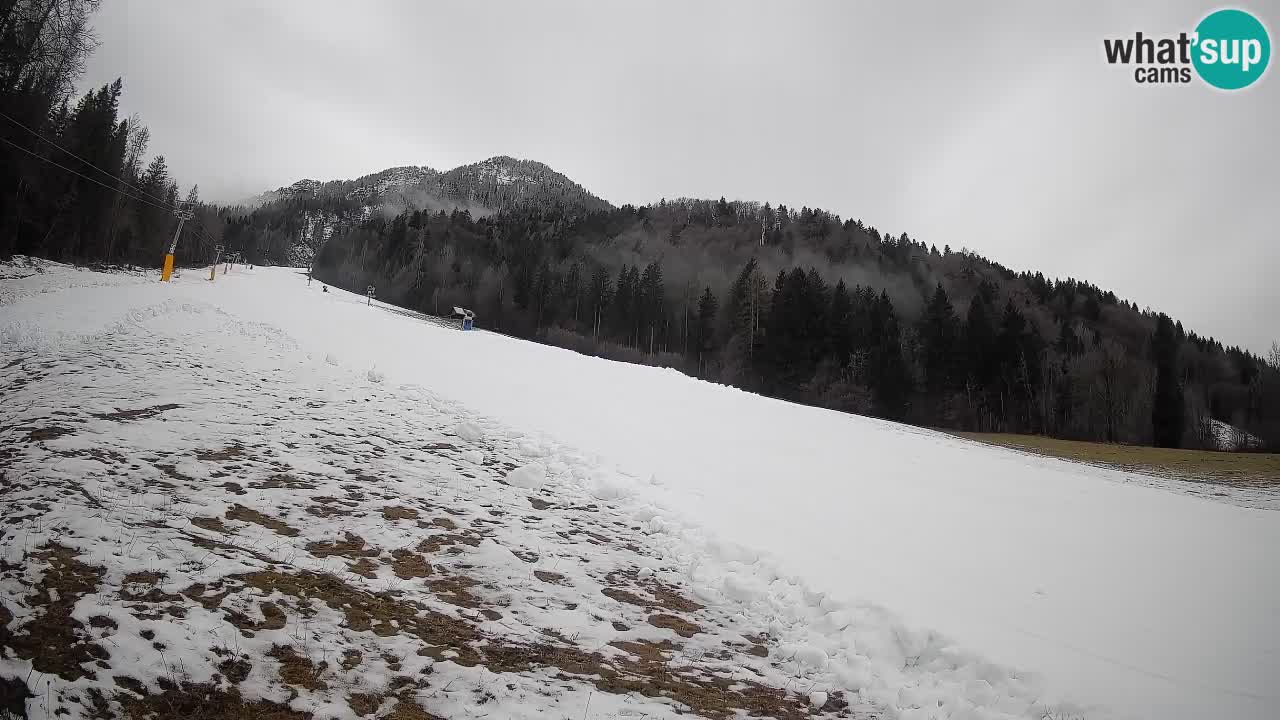 RTC Kranjska Gora | Brsnina