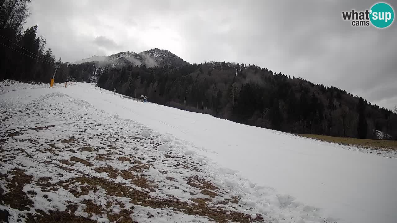 RTC Skigebiet Kranjska Gora | Brsnina