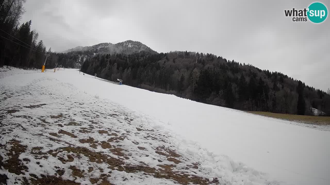 Ski Kranjska Gora | Brsnina