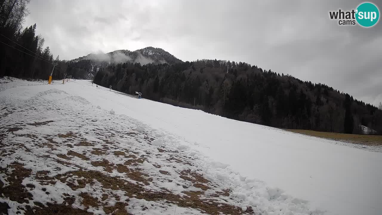RTC Kranjska Gora | Brsnina
