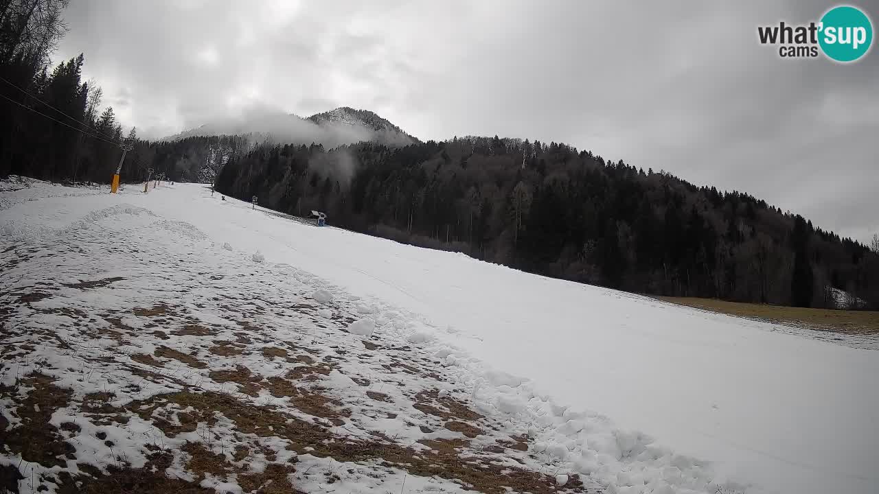 Kranjska Gora SKIJANJE | Brsnina