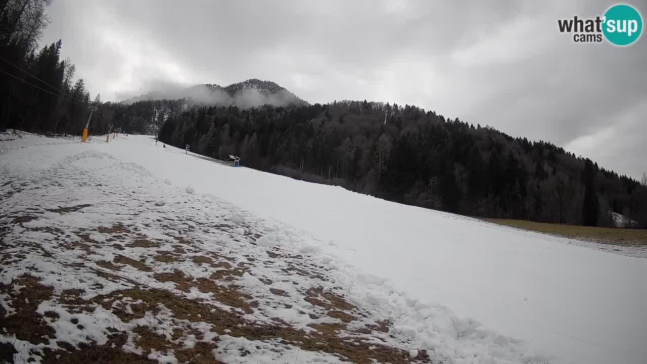 Ski Kranjska Gora | Brsnina