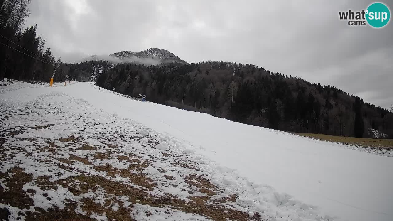 RTC Kranjska Gora | Brsnina