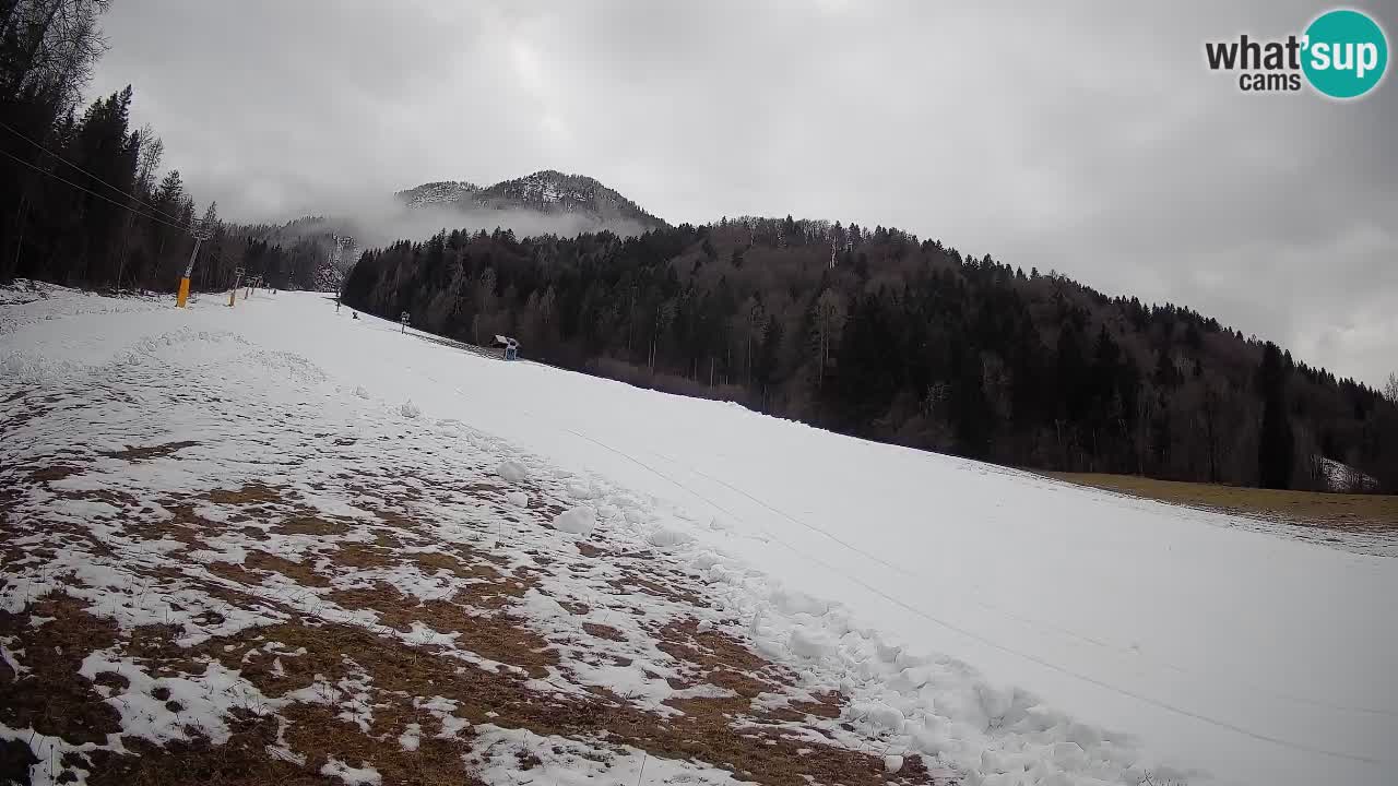Esquí Kranjska Gora | Brsnina