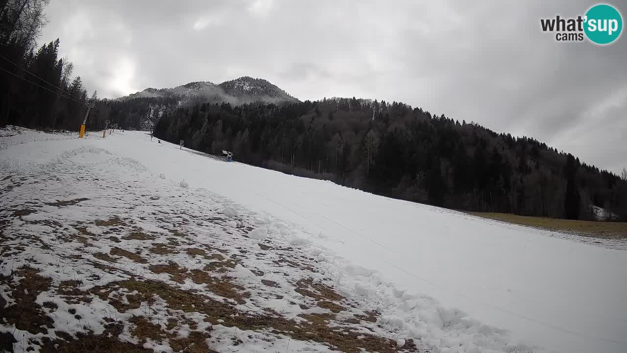 RTC Kranjska Gora | Brsnina