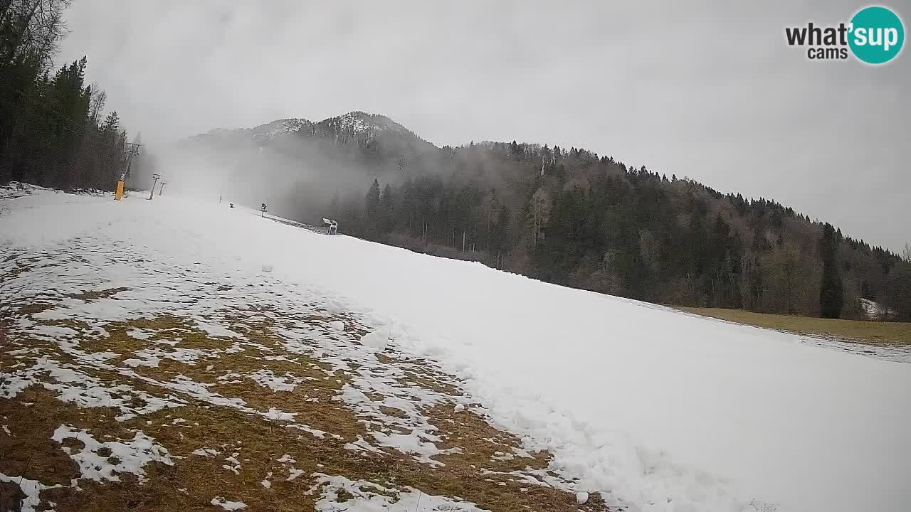 RTC Kranjska Gora | Brsnina