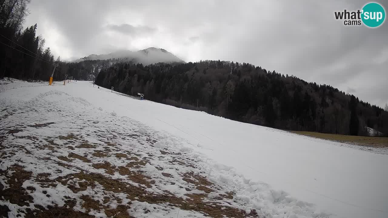 Esquí Kranjska Gora | Brsnina