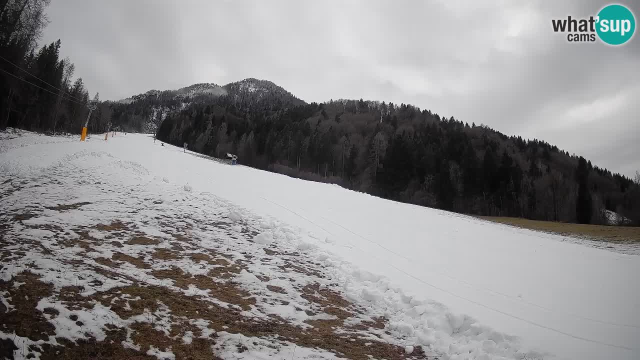 Esquí Kranjska Gora | Brsnina
