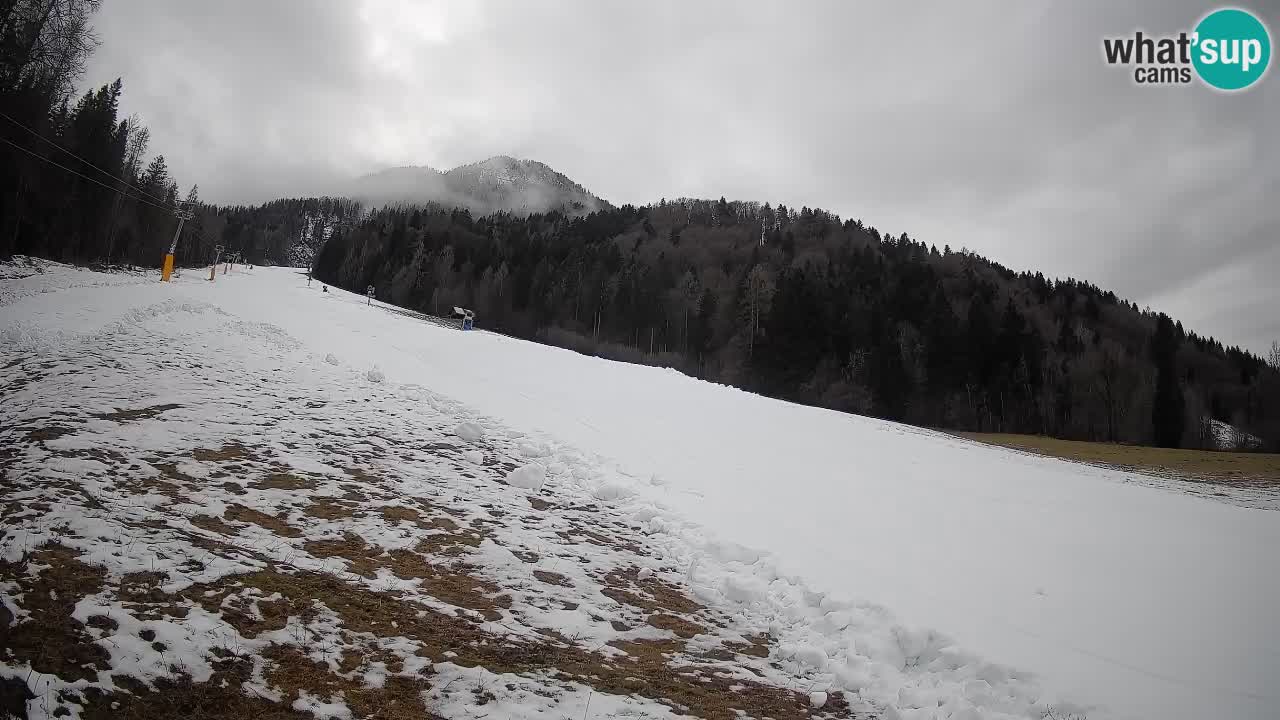 RTC Skigebiet Kranjska Gora | Brsnina