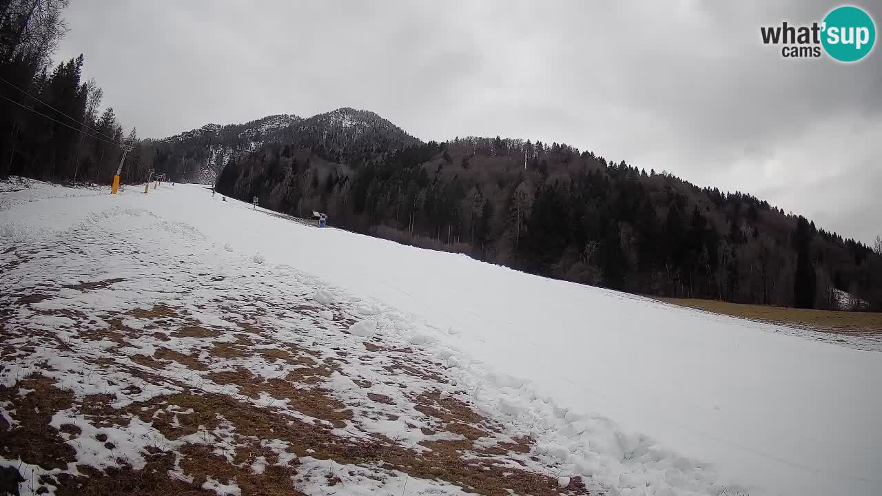 Ski Kranjska Gora | Brsnina