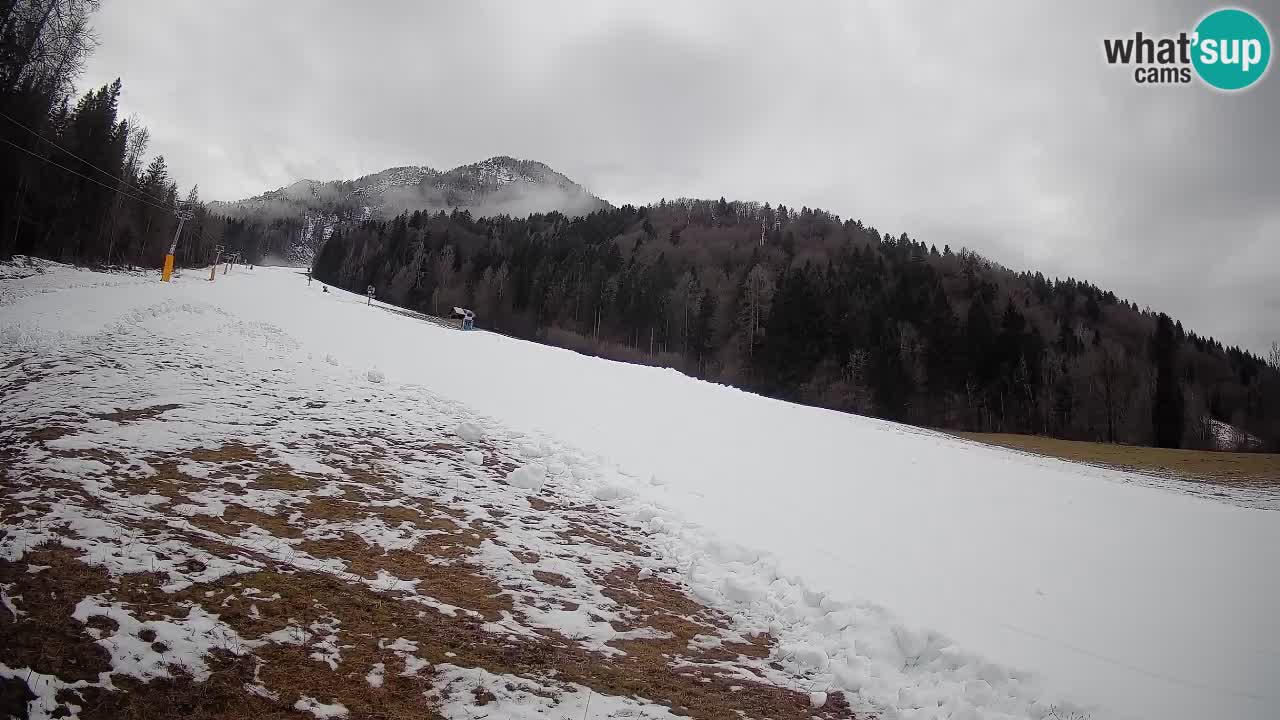 Kranjska Gora SKIJANJE | Brsnina